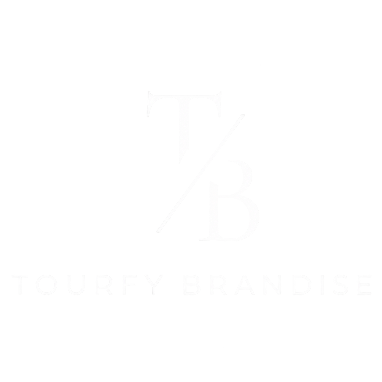Tourfy Brandise - Content Creation & Marketing Agency